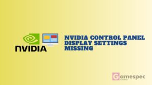 NVIDIA Control Panel Display Settings Missing