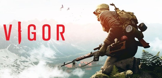 Is Vigor Cross Platform Or Crossplay