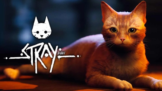 Stray Release Date