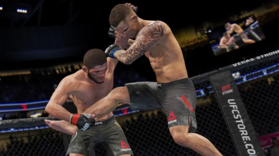 Expected price of EA Sports UFC 4